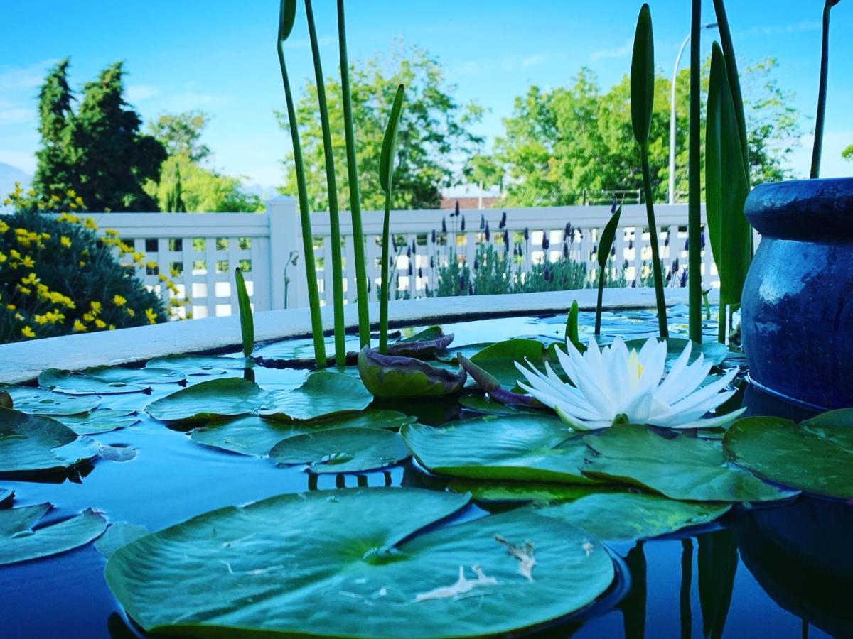 Waterstone Lodge غرب سومرست المظهر الخارجي الصورة